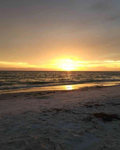 Minutes to Anna Maria Island